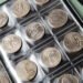 Coyyn Rare Coins